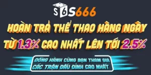 Chính Sách Hoàn Trả S666 - Ưu Đãi Hấp Dẫn Chưa Từng Có